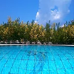 Iliachtides فيلة *